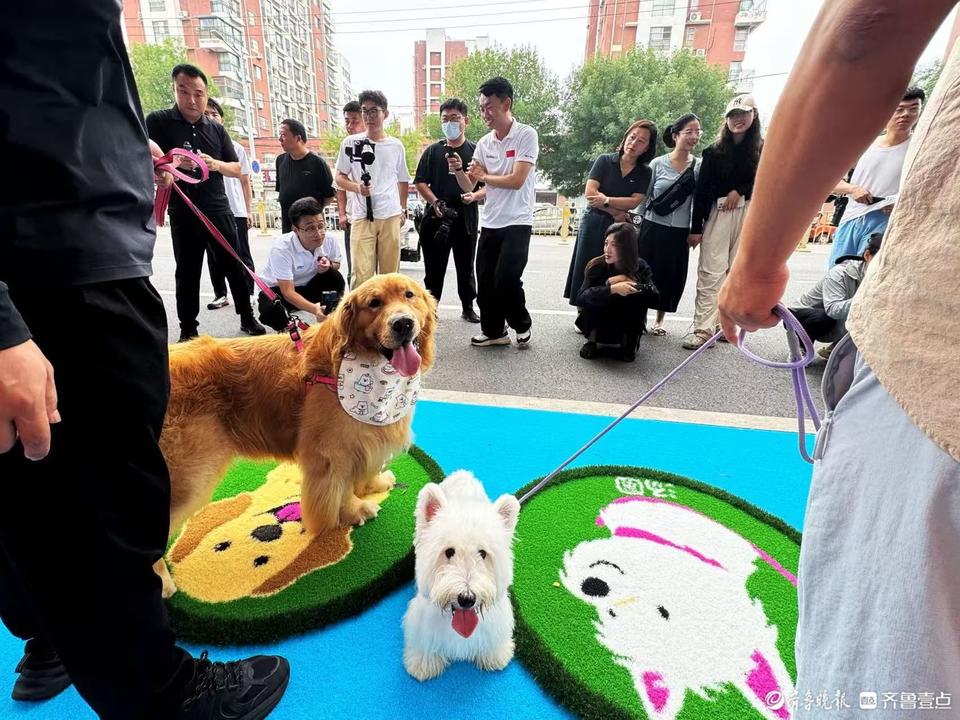 AA, https, 成为市民身