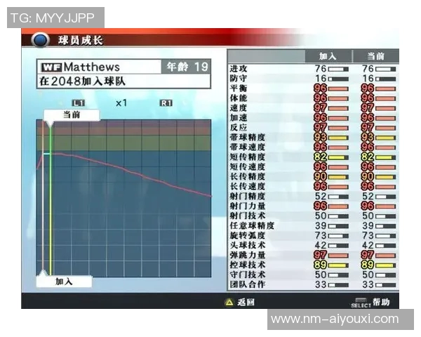 白色足球在球星市场中的价格解析与影响因素分析